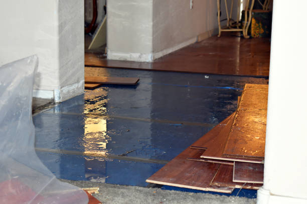 Professional Burst Pipe Cleanup technician working in Edna, TX